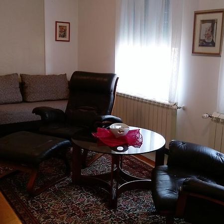 Apartment Krsmanovic Arandjelovac Exterior foto